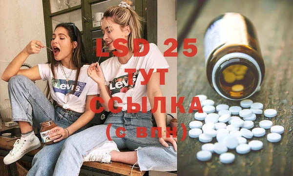 молекула духа Алексин