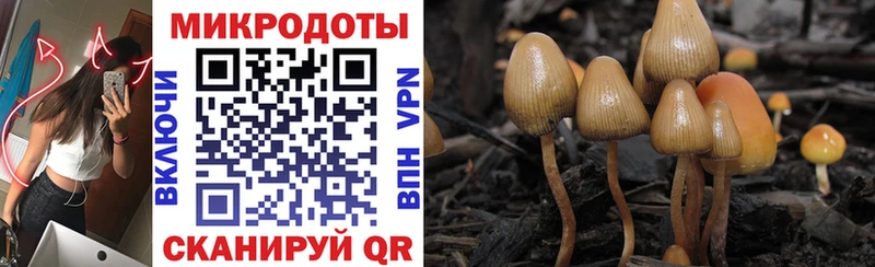 Псилоцибиновые грибы мухоморы наркошоп Нерехта